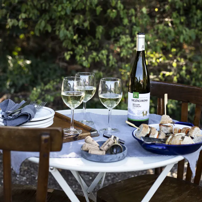 Mezzacorona: l’arte di fare vino in Trentino